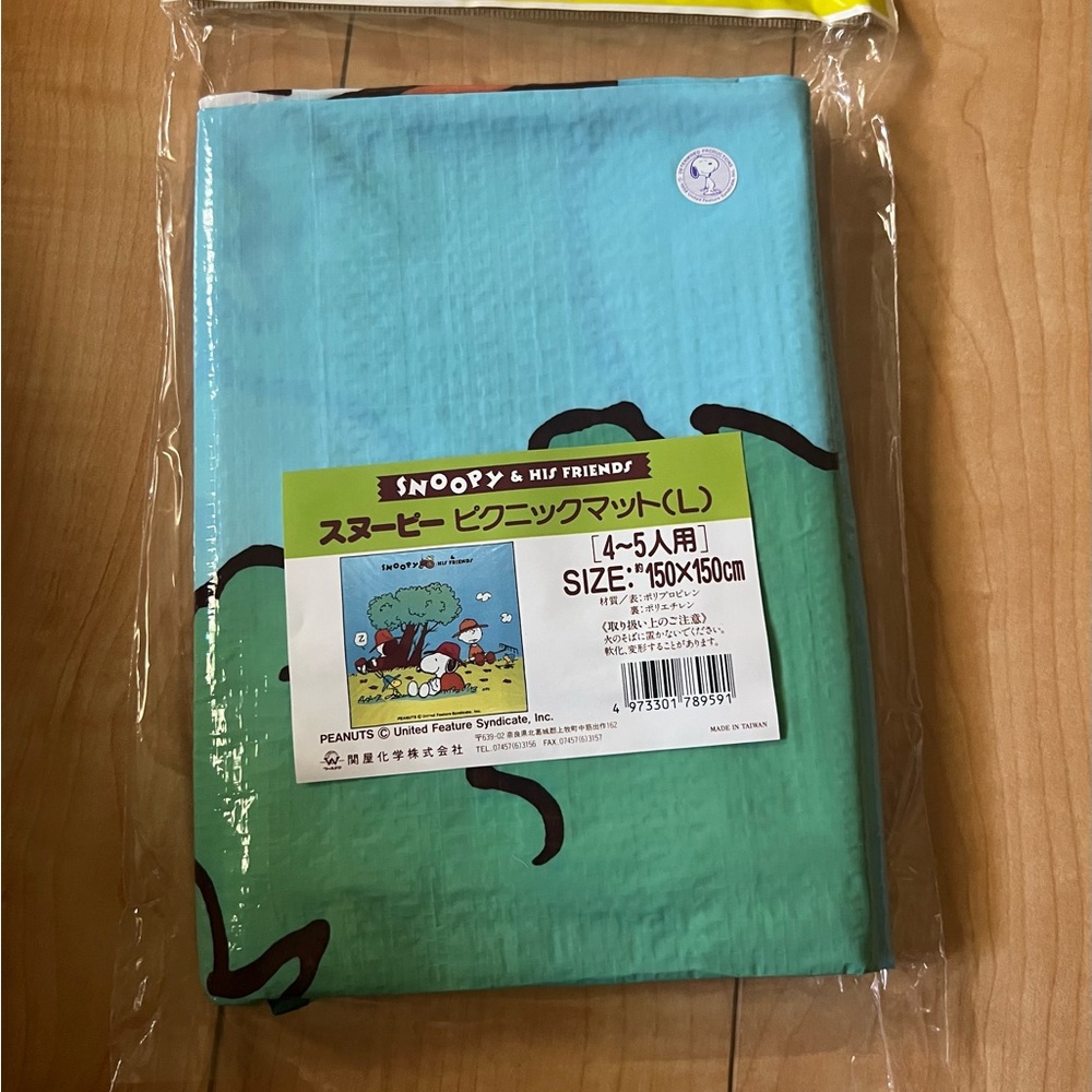 Snoopy & Friends Picnic Mat - Blue and Black